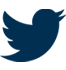 twitter_icono